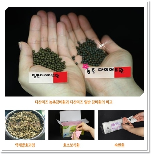 비만 핵심 둘