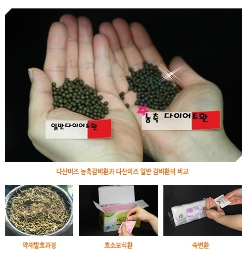 비만 핵심 하나