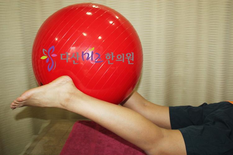 임신 운동 둘