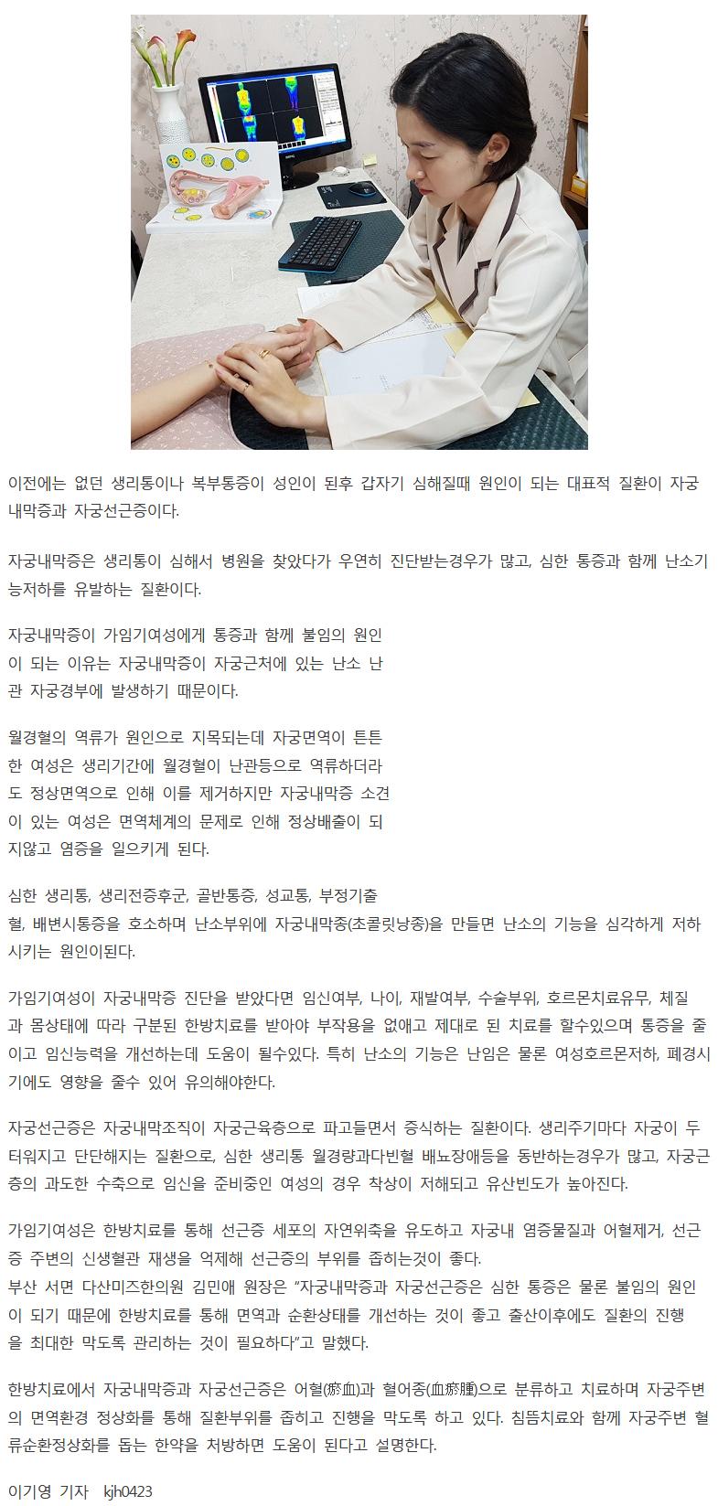 내막선근 세종