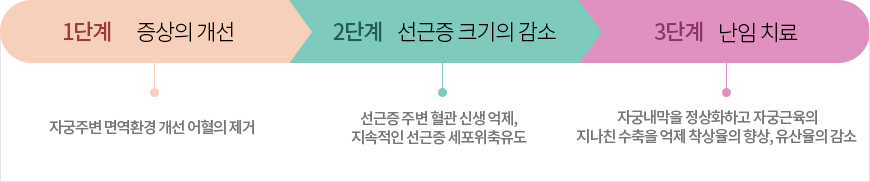 1단계 증상의 개선 자궁주변 면역환경 개선 어혈의 제거 2단계 선근증 크기의 감소 선근증 주변 혈관 신생 억제, 지속적인 선근증 세포위축 유도 3단계 난임치료 자궁내막을 정상화 하고 자궁근육의 지나친 수축을 억제 착상율의 향상, 유산율의 감소